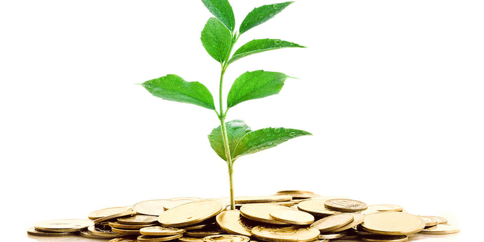Sai lầm trong kêu gọi đầu tư khởi nghiệp